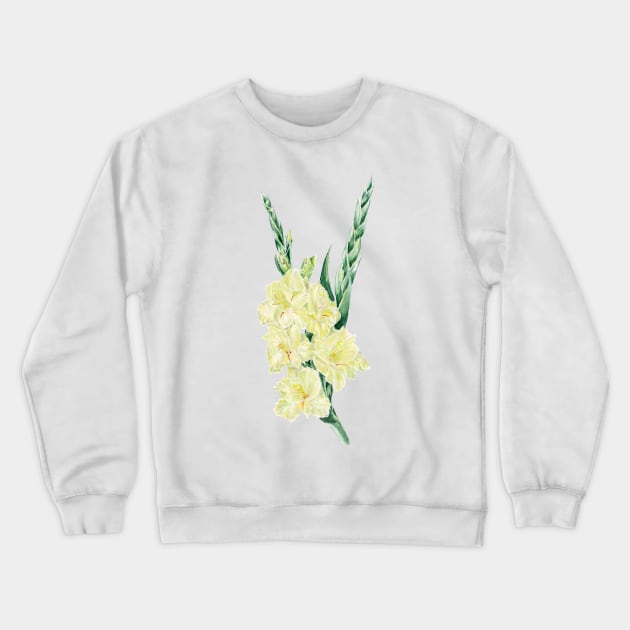 Gladiolus Crewneck Sweatshirt by feafox92